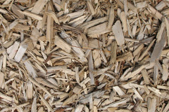 biomass boilers Arrad Foot